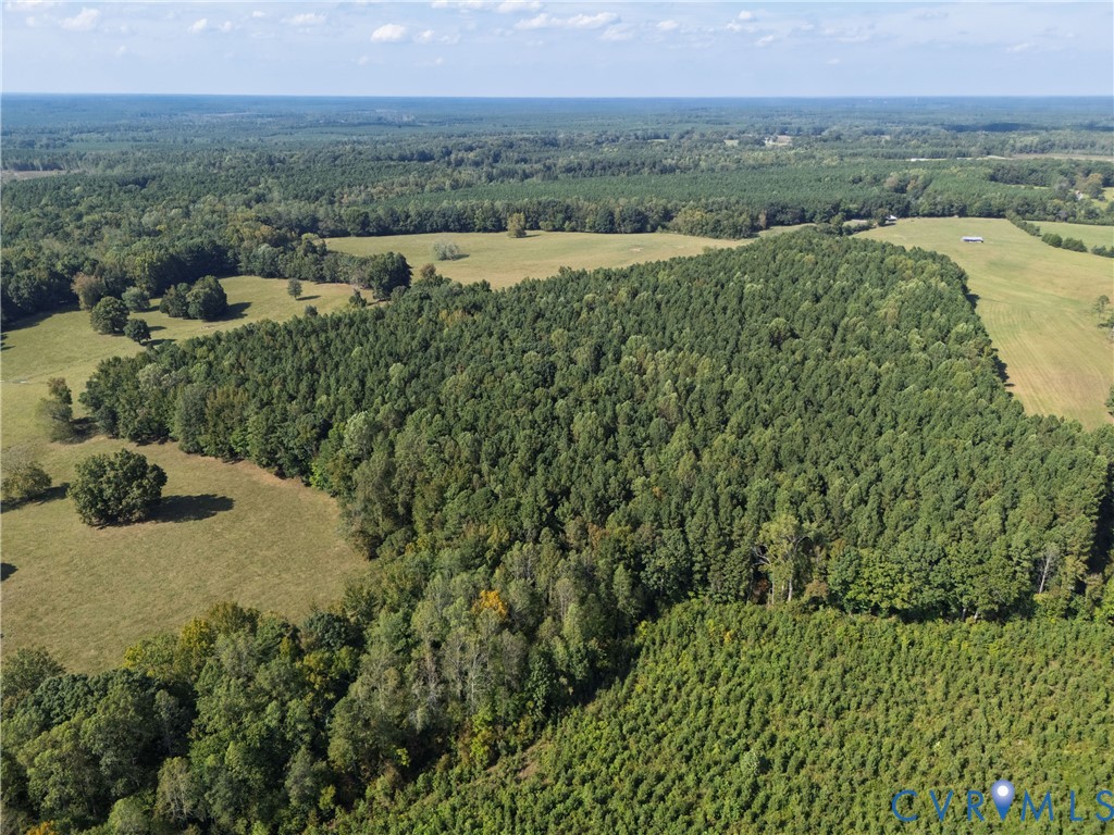 4943 Grandy Road Brodnax, VA 23920 - Photo 11 of 48