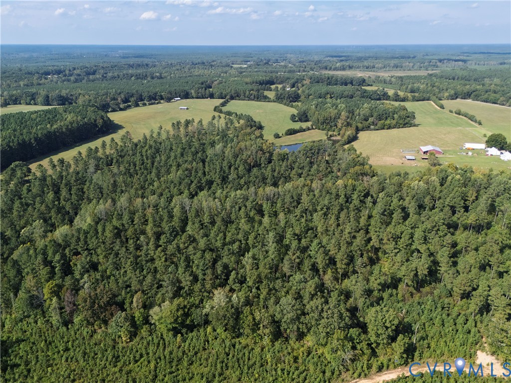 4943 Grandy Road Brodnax, VA 23920 - Photo 13 of 48