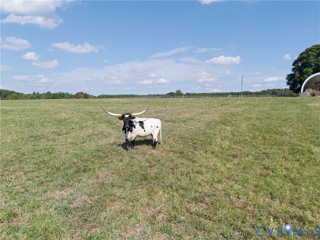 4943 Grandy Road Brodnax, VA 23920 - Photo 35 of 48