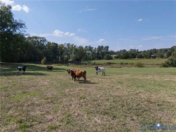 $1,875,000 | 4943 Grandy Road, Brodnax, VA 23920