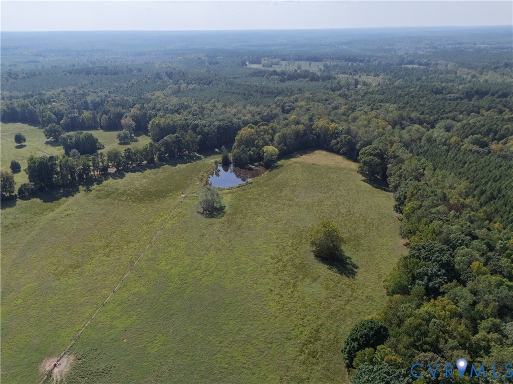 4943 Grandy Road Brodnax, VA 23920 - Photo 6 of 48