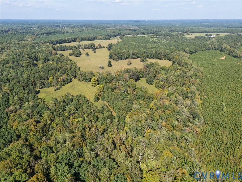 4943 Grandy Road Brodnax, VA 23920 - Photo 9 of 48