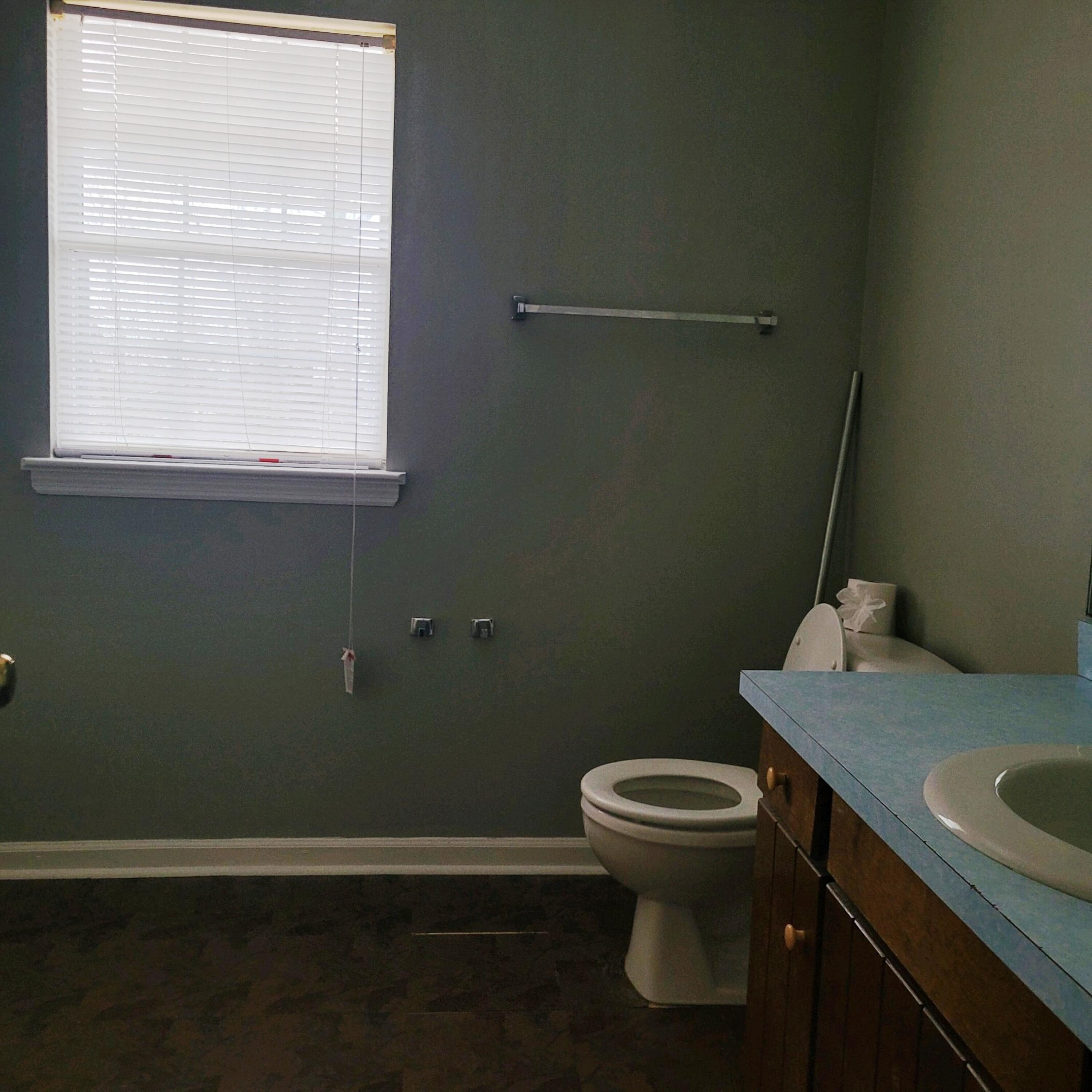 2305 Gale Lane Chattanooga, TN 37421 - Photo 17 of 24 Master Bathroom