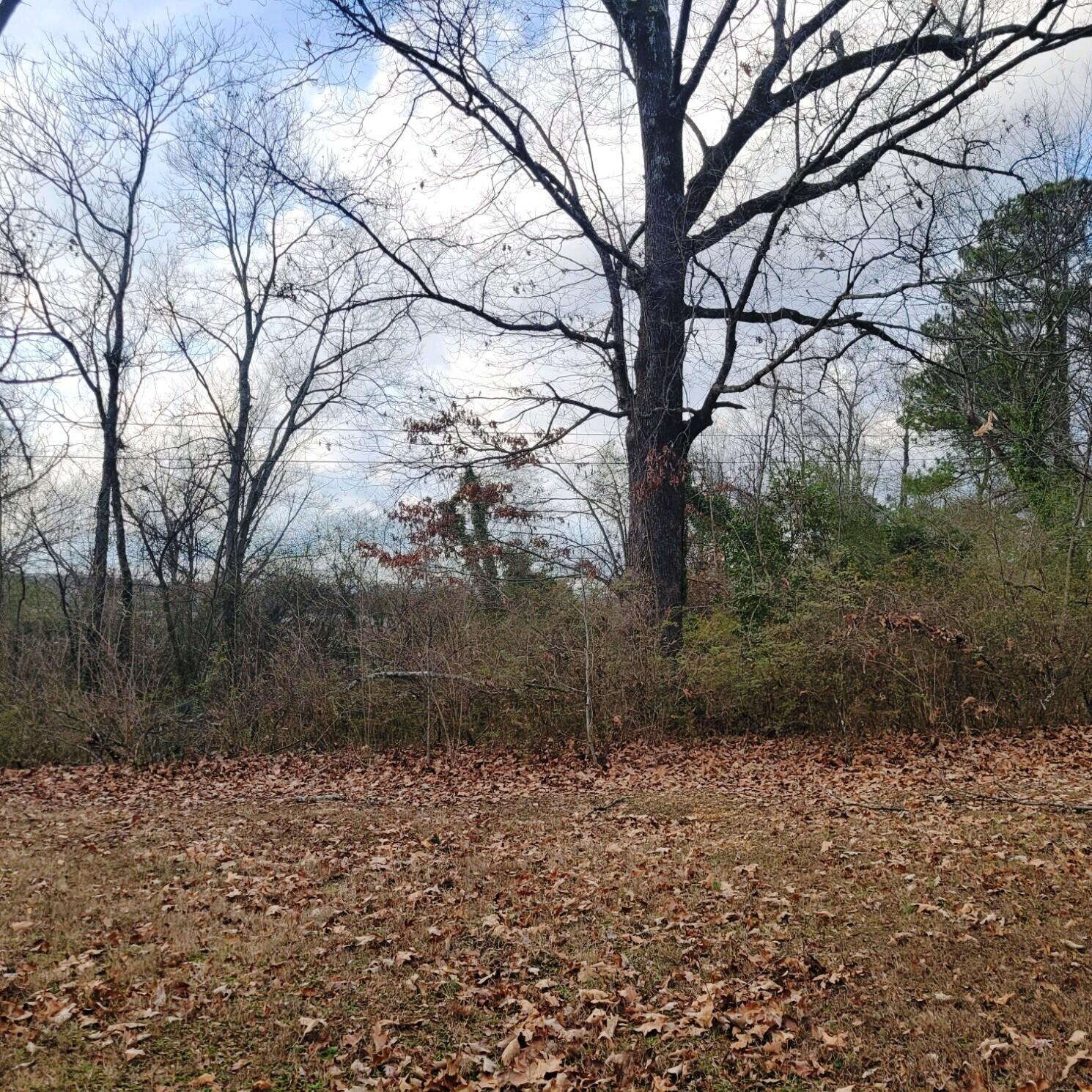 2305 Gale Lane Chattanooga, TN 37421 - Photo 23 of 24 Backyard 3