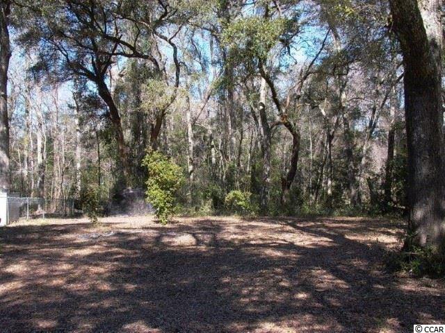 416 Vereen Road Murrells Inlet, SC 29576 - Photo 1 of 6