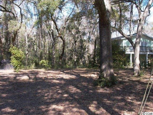 416 Vereen Road Murrells Inlet, SC 29576 - Photo 2 of 6