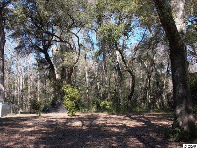 416 Vereen Road Murrells Inlet, SC 29576 - Photo 3 of 6