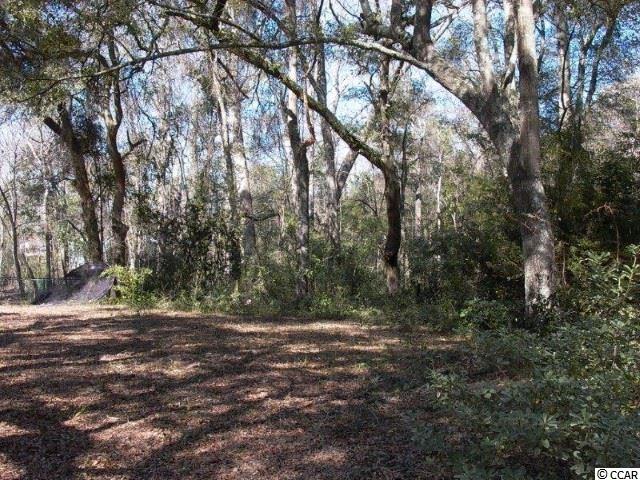 416 Vereen Road Murrells Inlet, SC 29576 - Photo 4 of 6