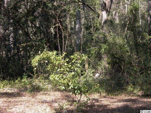416 Vereen Road Murrells Inlet, SC 29576 - Photo 6 of 6