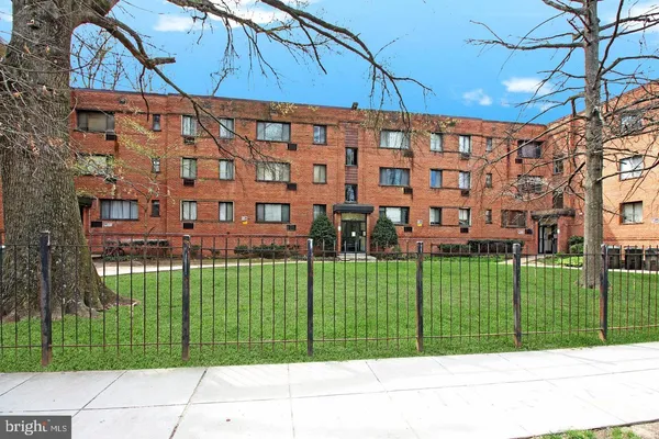 a view of a back yard