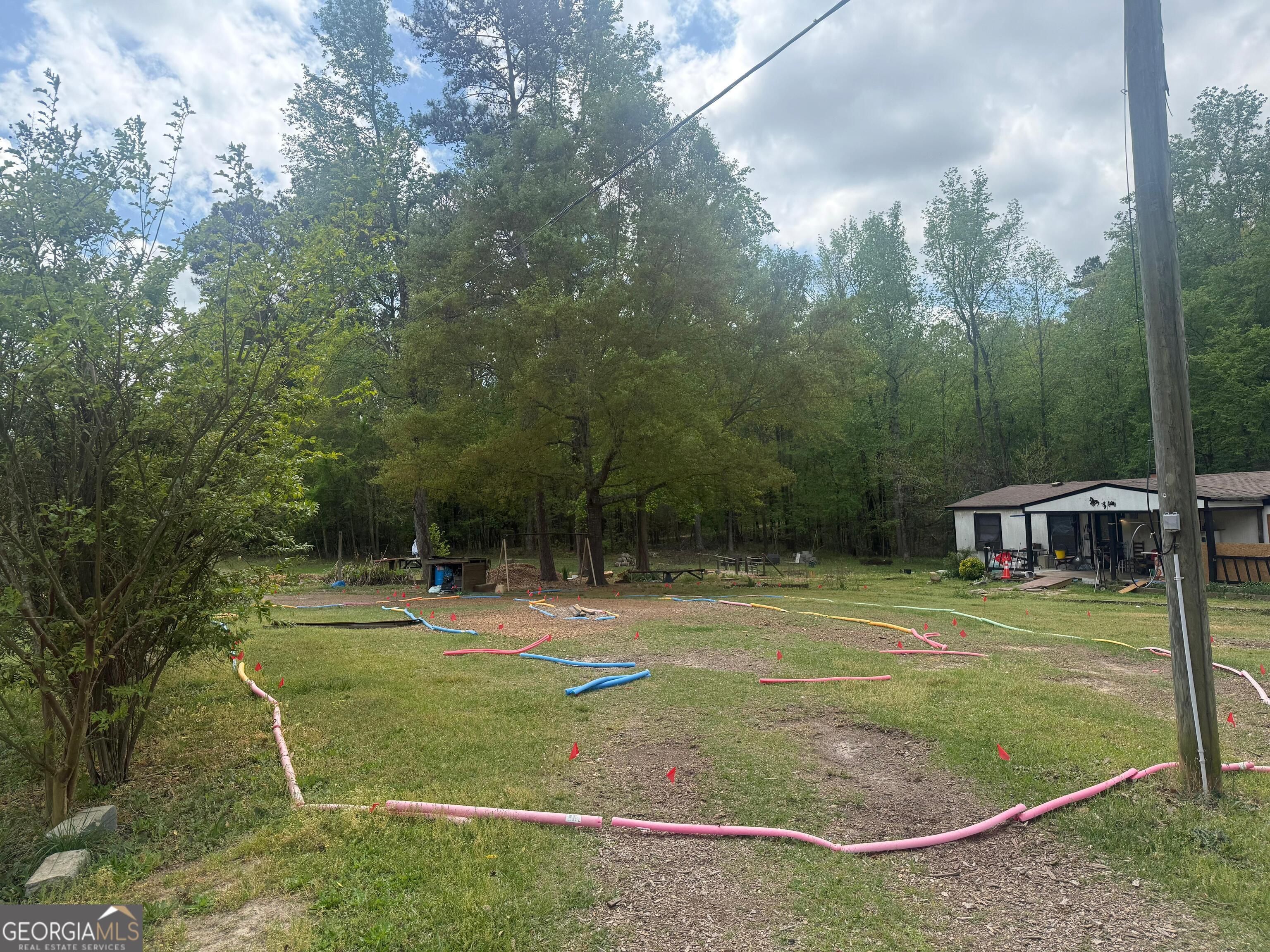 1050 Gray Horse Road Greensboro, GA 30642 - Photo 3 of 23