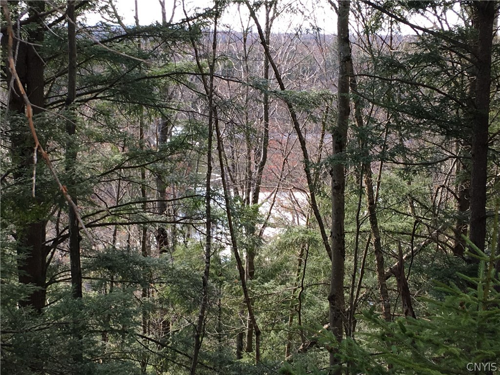 11169 Roberts Road Remsen, NY 13438 - Photo 15 of 28 Gallery Image 15