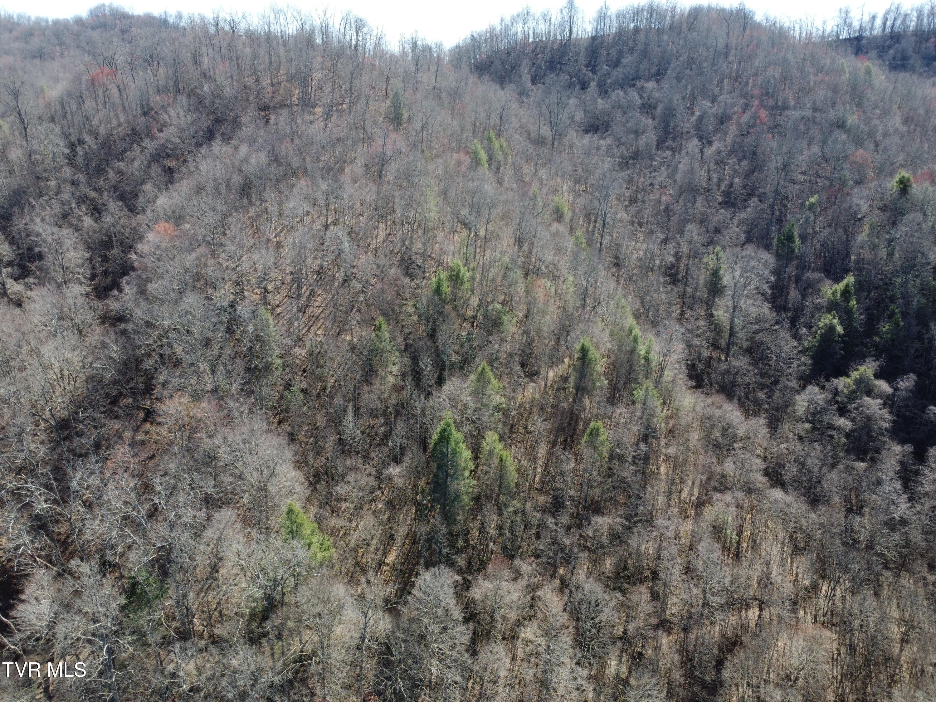 Tbd Bull Run Road Coeburn, VA 24230 - Photo 35 of 57 DJI_0606