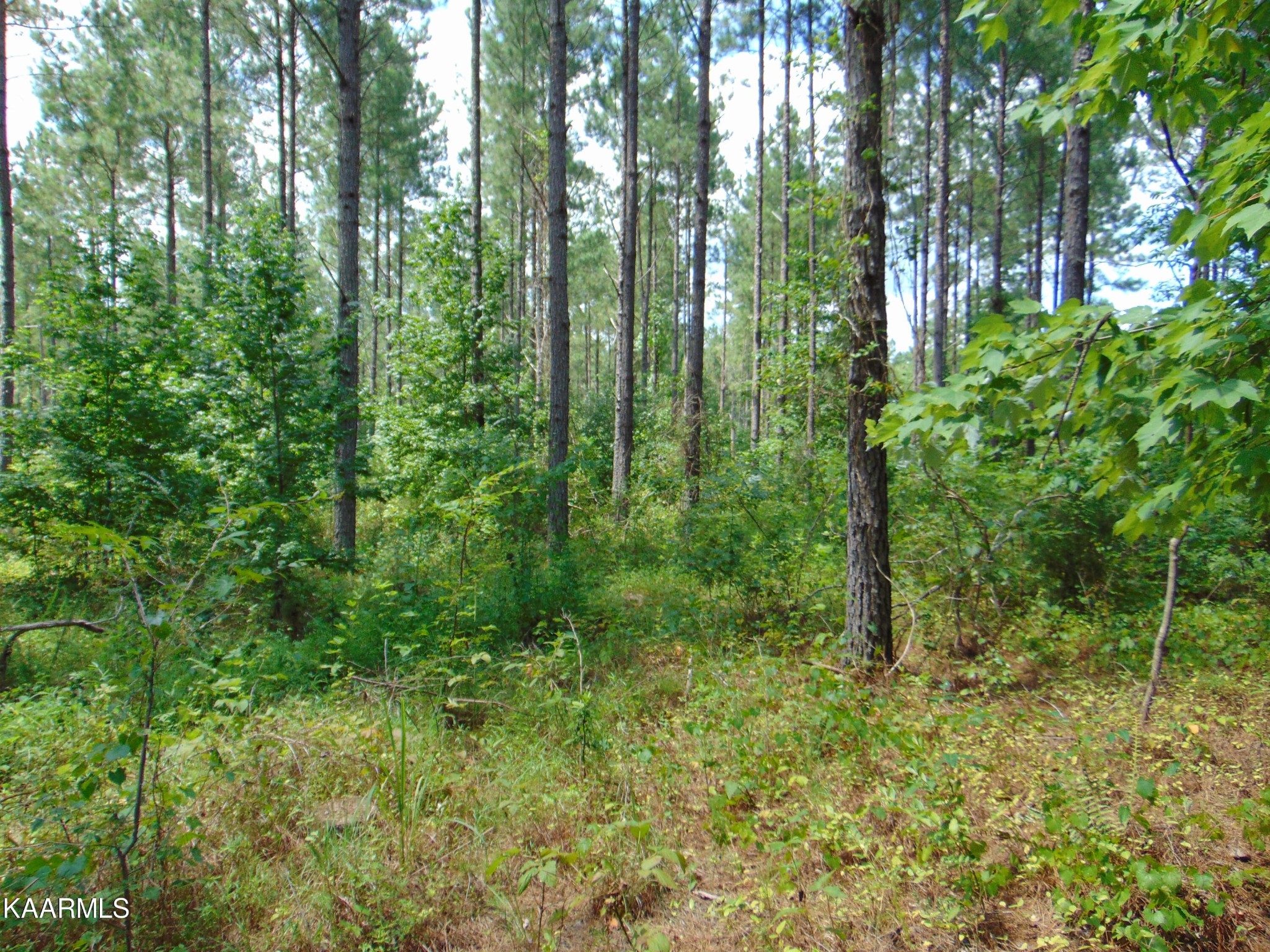 6 Charles Road Decatur, TN 37322 - Photo 9 of 9