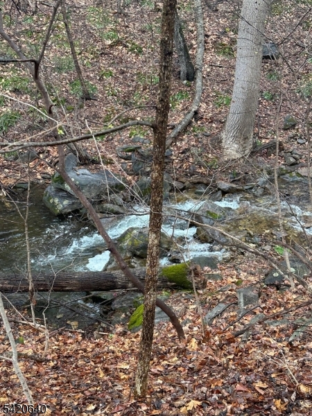 120 Millbrook Road Washington, NJ 07882 - Photo 2 of 6 a view of forest