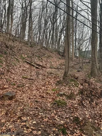 a view of a yard with large trees