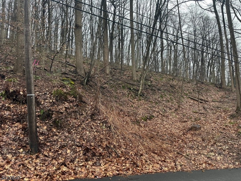 120 Millbrook Road Washington, NJ 07882 - Photo 5 of 6 a view of a backyard