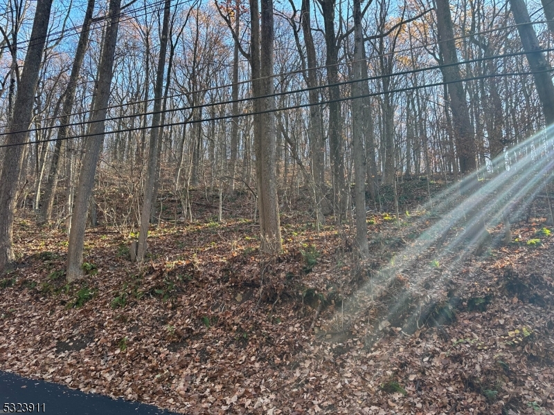 120 Millbrook Road Washington, NJ 07882 - Photo 6 of 6 a backyard of a house with lots of green space