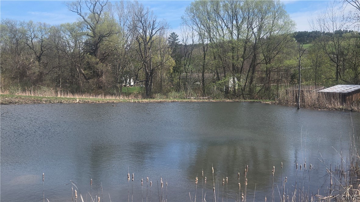 3599 Watervale Road Pompey, NY 13104 - Photo 28 of 48