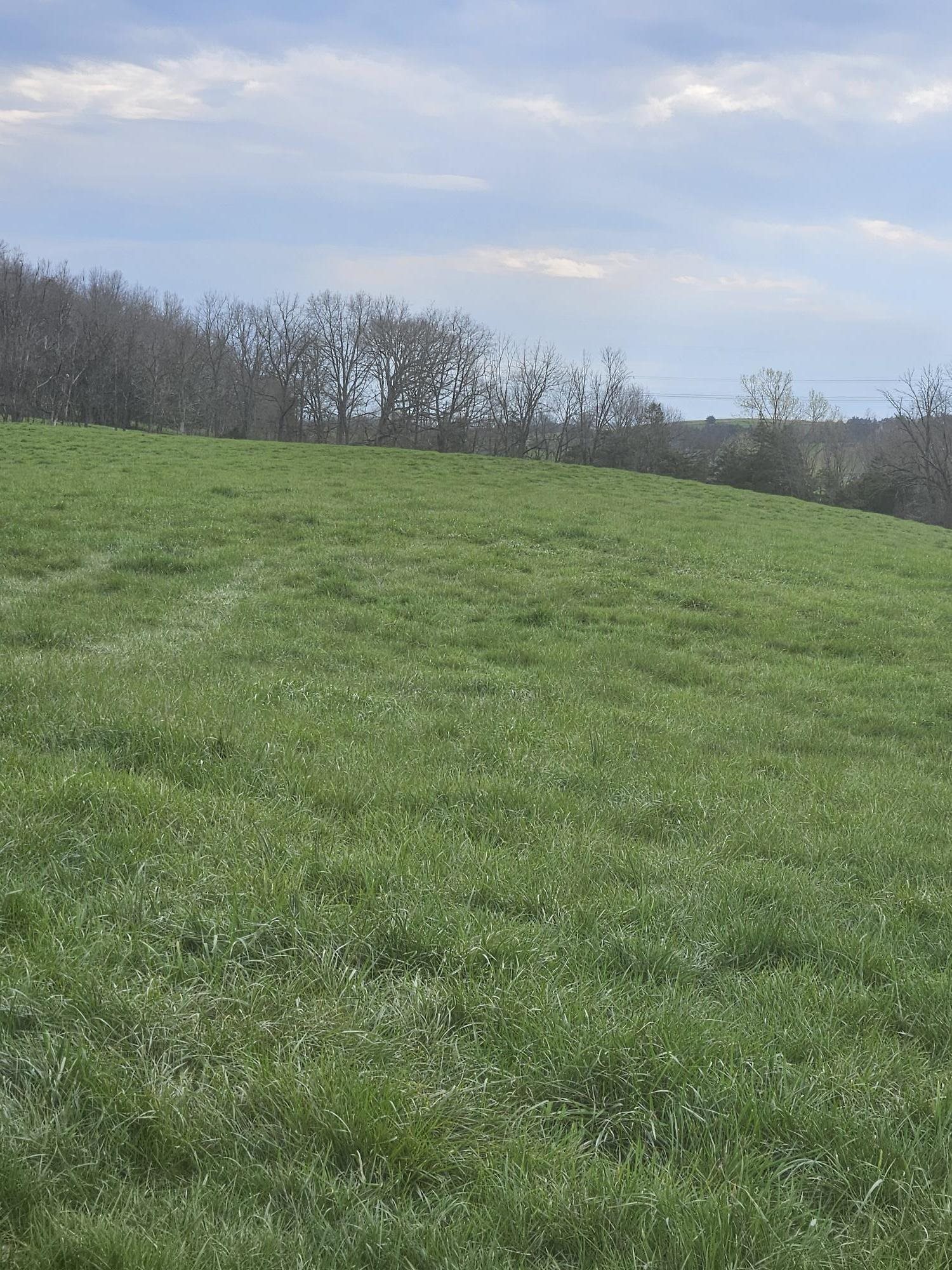 Tbd Wise Hollow Road Bridgewater, VA 22812 - Photo 10 of 10 Gallery Image 10
