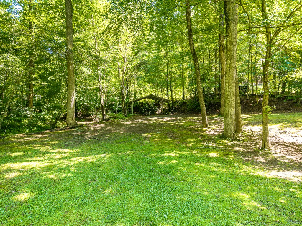 1643 Lucius Road Cherry Log, GA 30522 - Photo 34 of 45