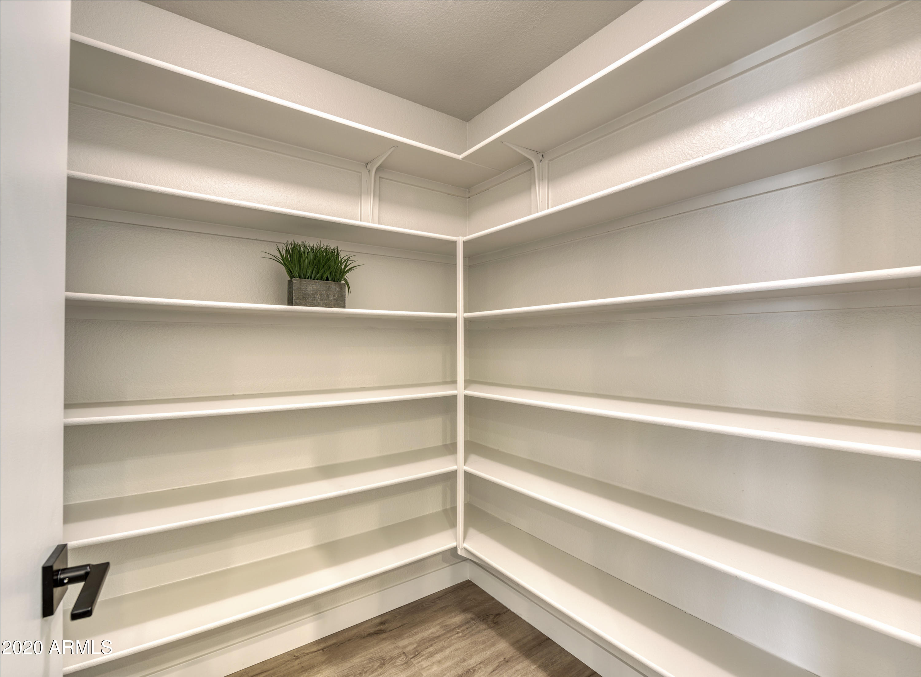 4361 East St John Road Phoenix, AZ 85032 - Photo 15 of 29 Pantry