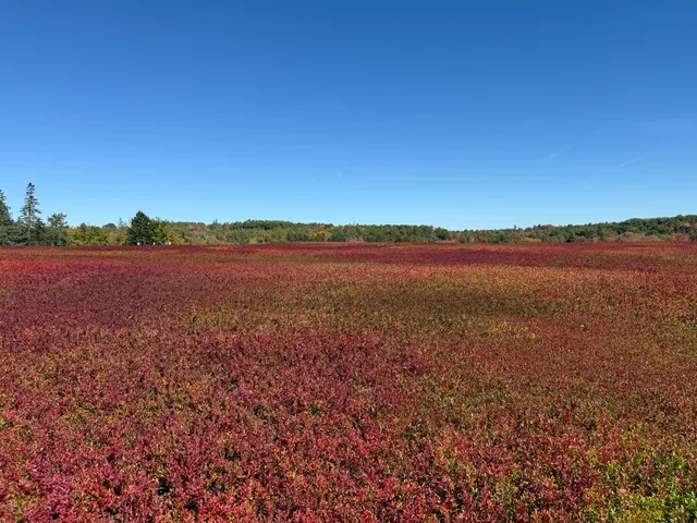 $449,000 | Land-perkins Blue Hill, Blue Hill, ME 04614