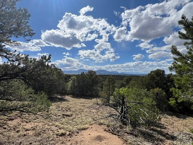 96 River Ridge Trail Walsenburg, CO 81089 - Photo 4 of 28