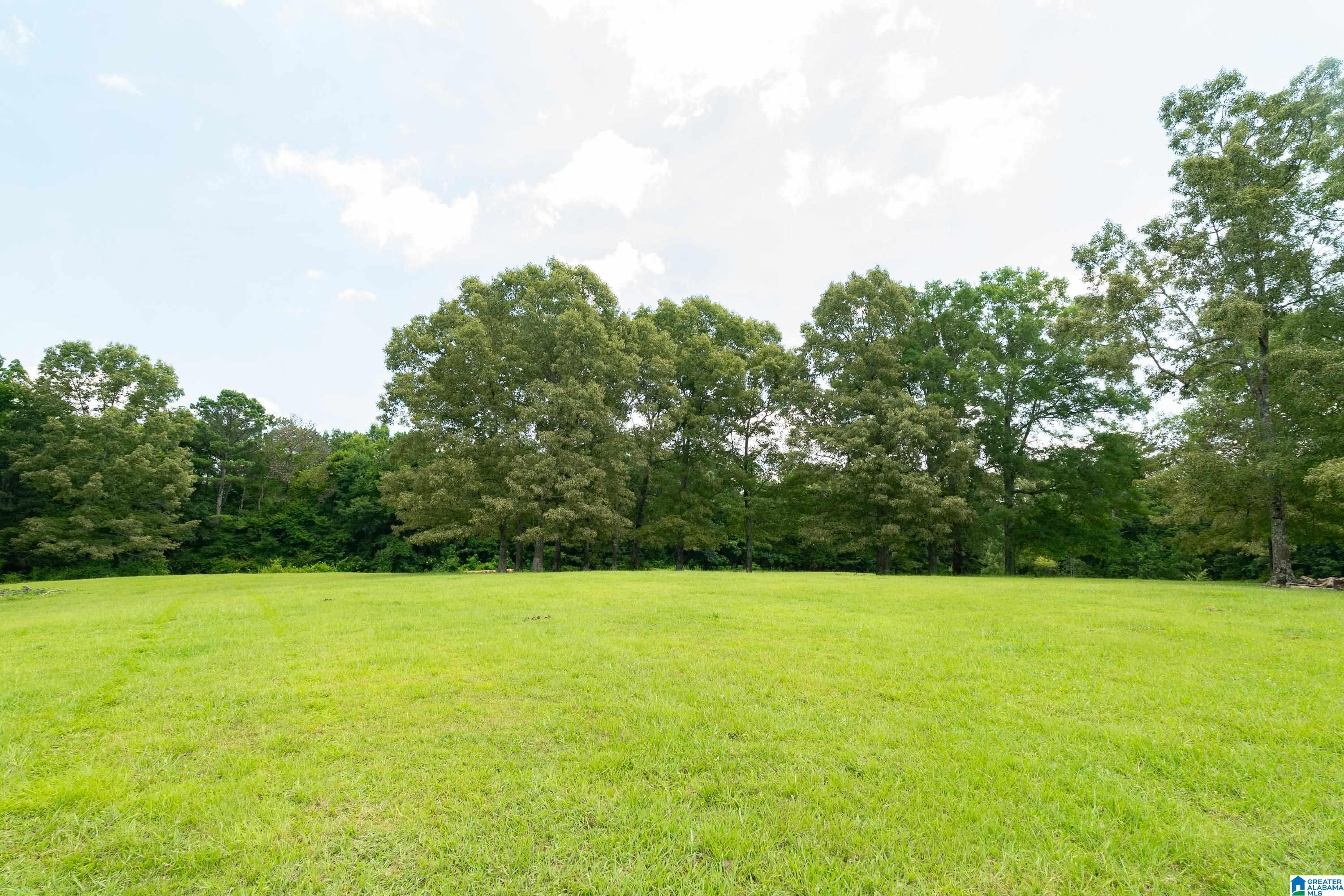 2304 Driving Range Road Cropwell, AL 35054 - Photo 55 of 59