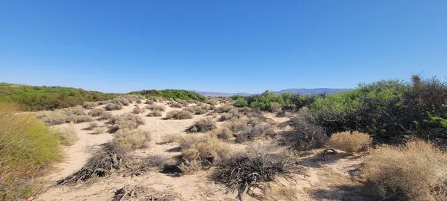 $75,000 | 1655 La Buena Tierra Avenue, Twentynine Palms, CA 92277