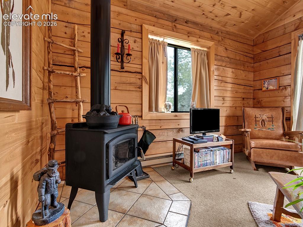 1462 Pulver Road Lake George, CO 80827 - Photo 8 of 25 Gallery Image 8