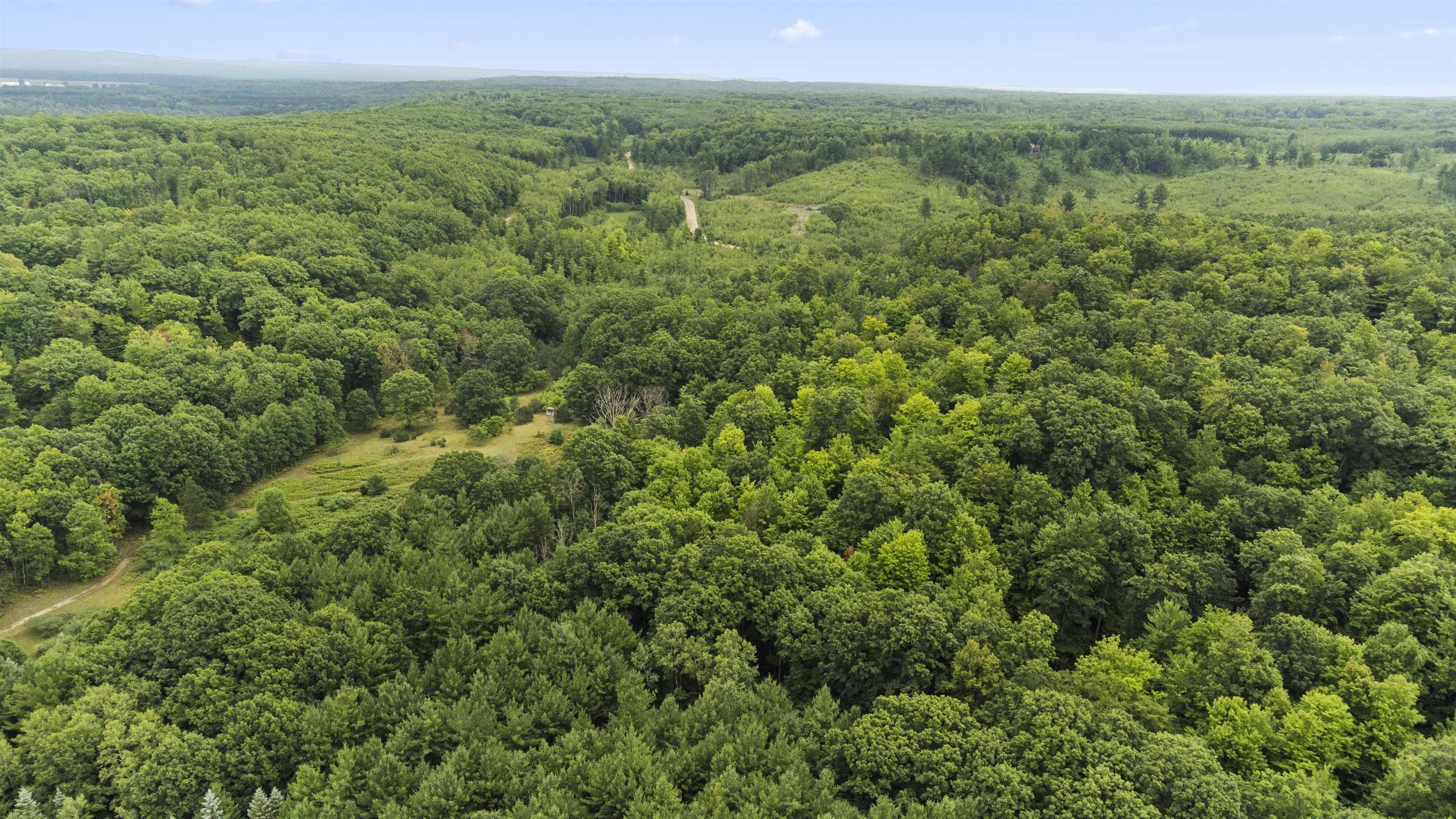 9 9 Mile Road Kingsley, MI 49649 - Photo 9 of 66