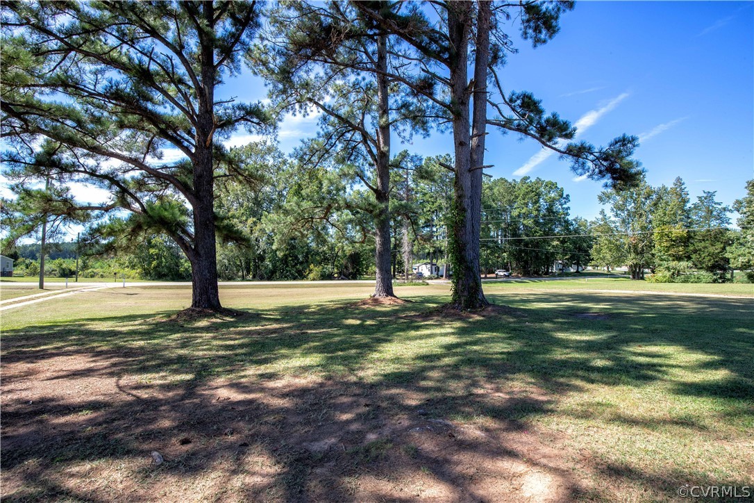 16907 Courthouse Road Dinwiddie, VA 23841 - Photo 4 of 15 a view of a trees with a yard