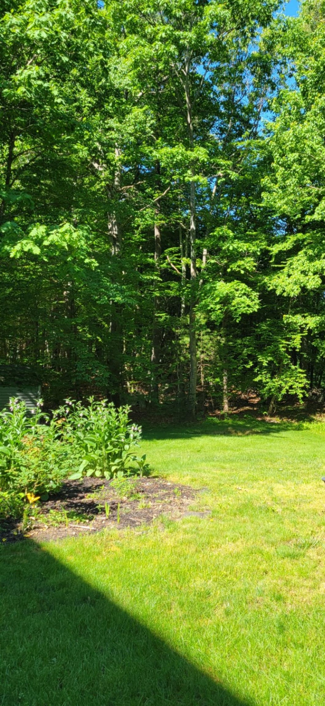 28 Peaslee Court Hampstead, NH 03841 - Photo 56 of 59