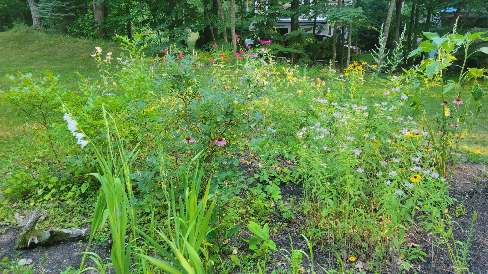 28 Peaslee Court Hampstead, NH 03841 - Photo 59 of 59