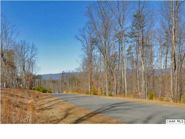 1441 Stillhouse Ridge Lane Charlottesville, VA 22903 - Photo 32 of 32 a view of road with large trees