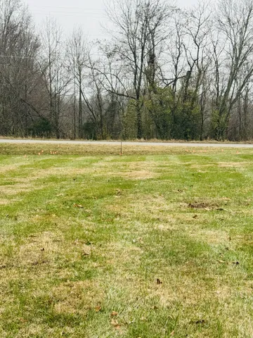 a view of a yard with a trees