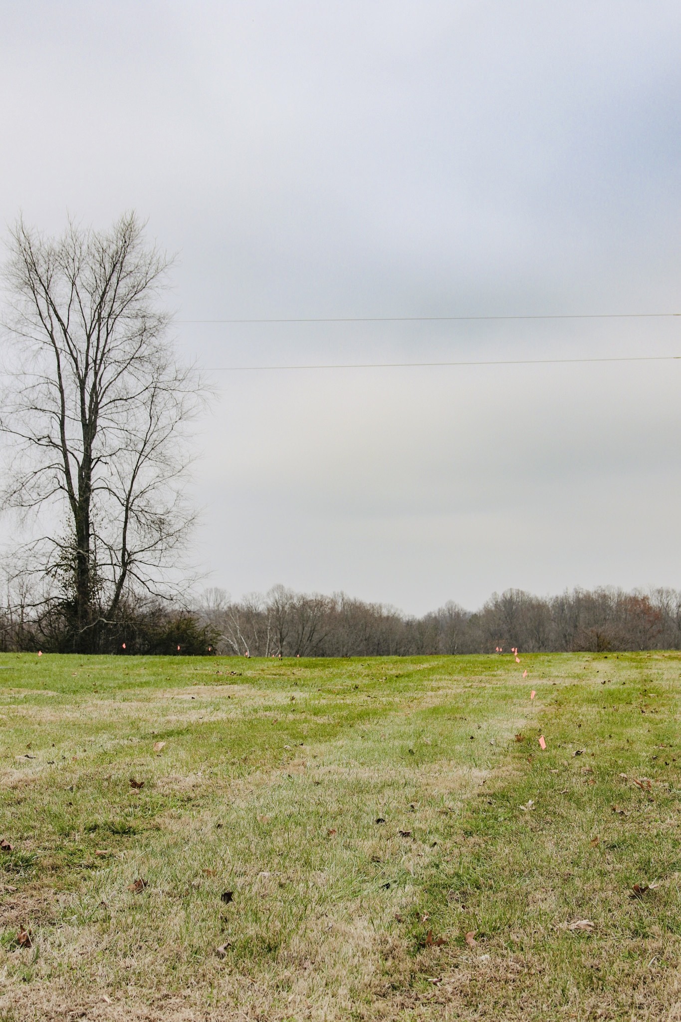 2579 New Hall Road Greenbrier, TN 37073 - Photo 3 of 13 a view of a swimming pool and an ocean