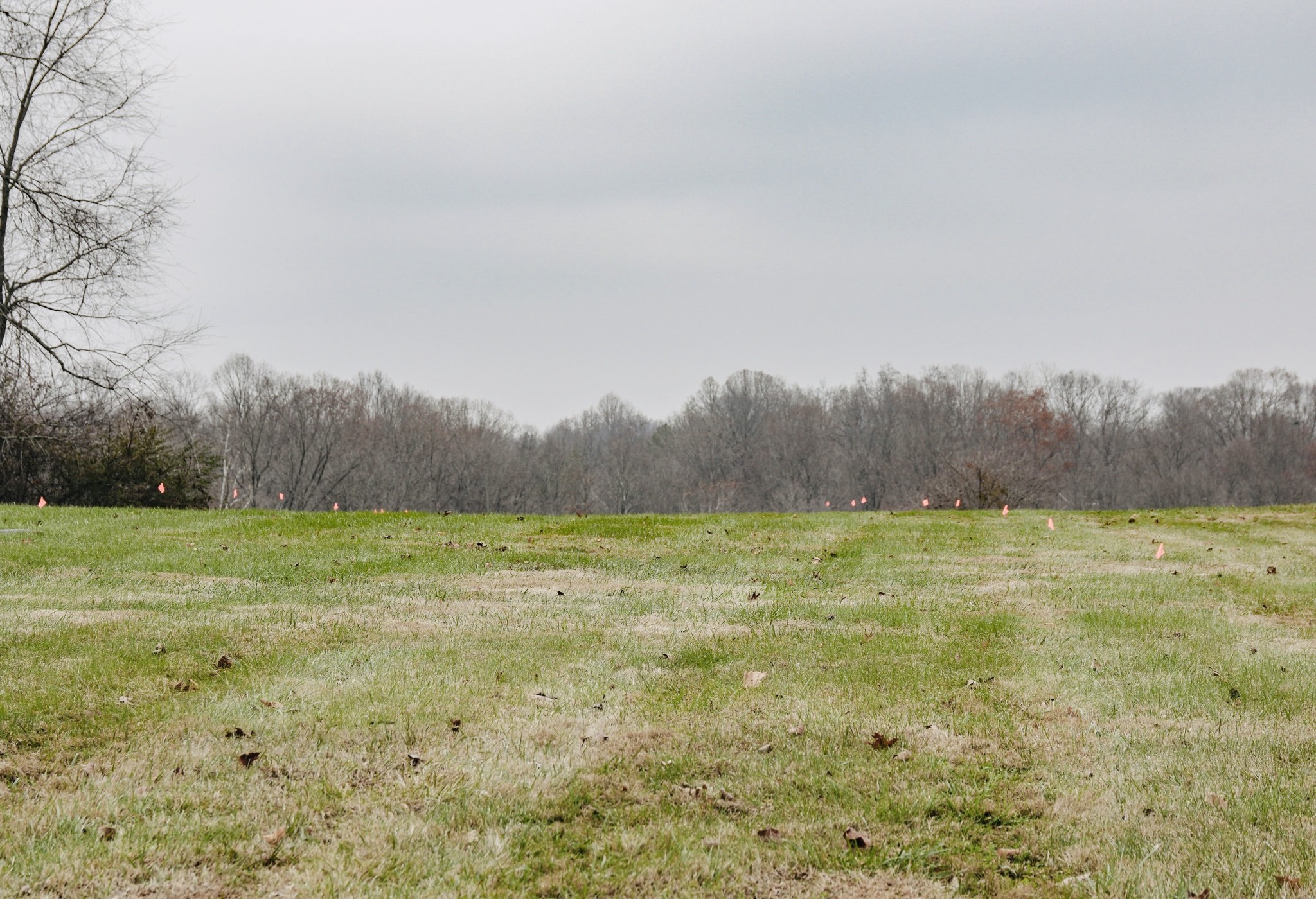 2579 New Hall Road Greenbrier, TN 37073 - Photo 4 of 13 a view of an outdoor space and yard