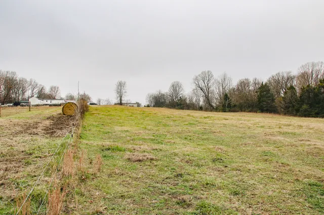 a view of a water with palm trees