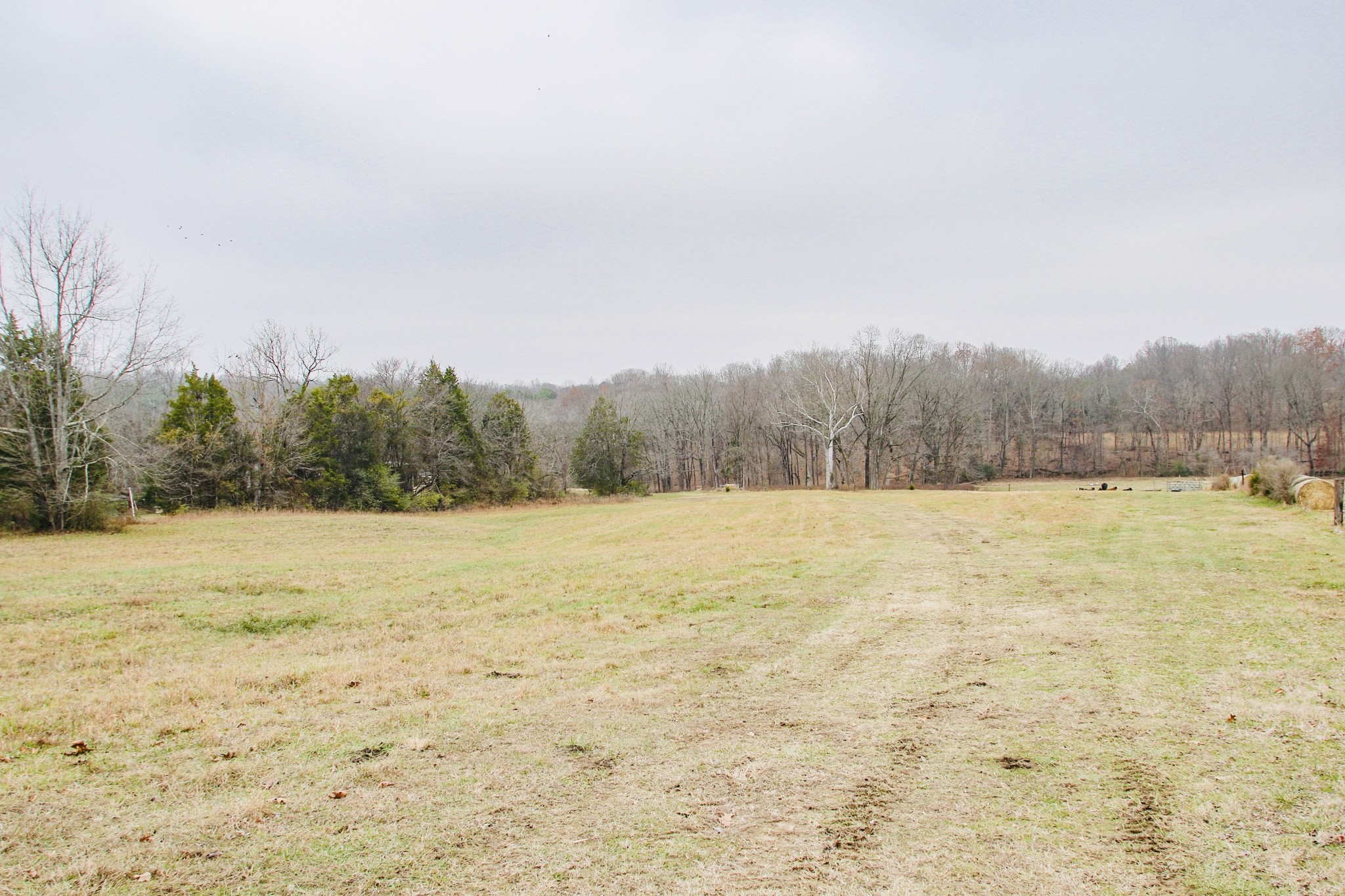 2579 New Hall Road Greenbrier, TN 37073 - Photo 7 of 13 a view of beach and lake
