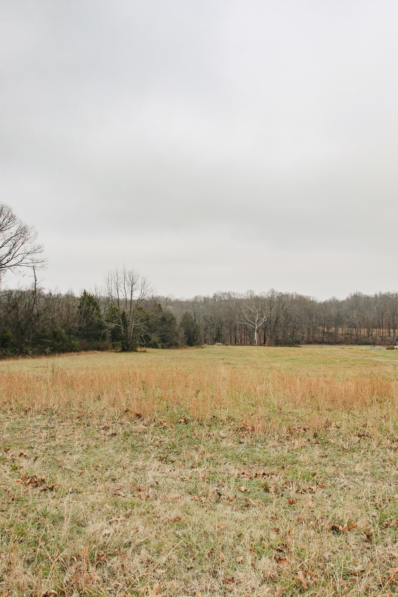 2579 New Hall Road Greenbrier, TN 37073 - Photo 8 of 13 a view of an ocean and beach