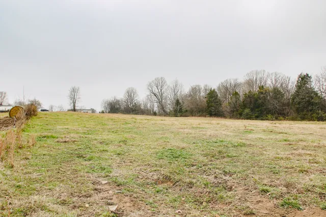 a view of a field with trees in the background