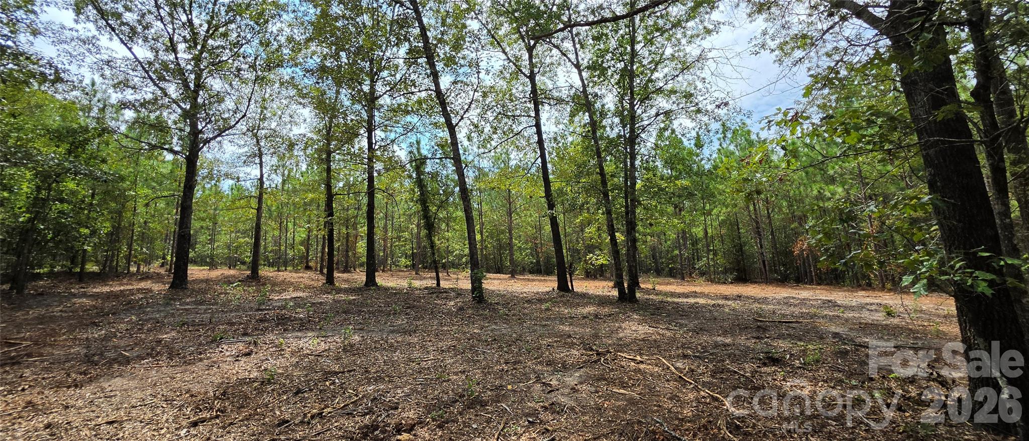 1050 McQueen Road Patrick, SC 29584 - Photo 10 of 47 Gallery Image 10