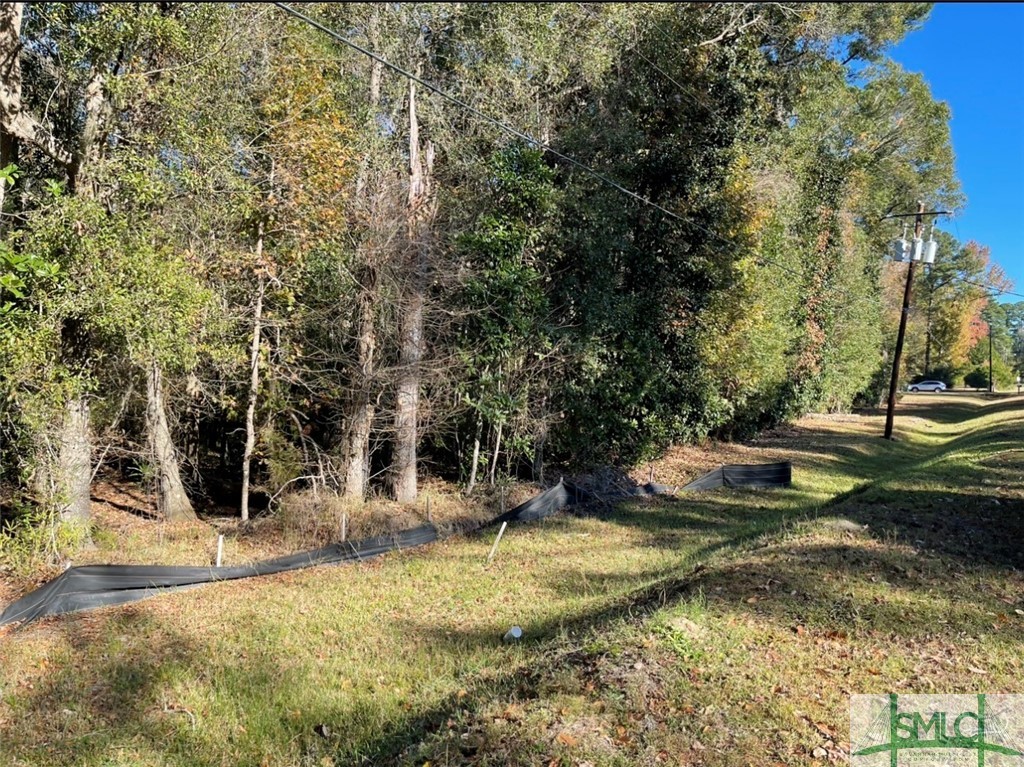0 East Ninth Street Rincon, GA 31326 - Photo 3 of 7