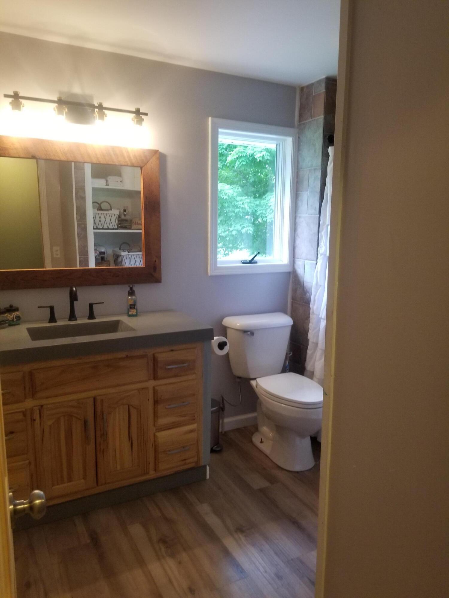 3226 Sayles Road Ionia, MI 48846 - Photo 22 of 36 20220619_190925
