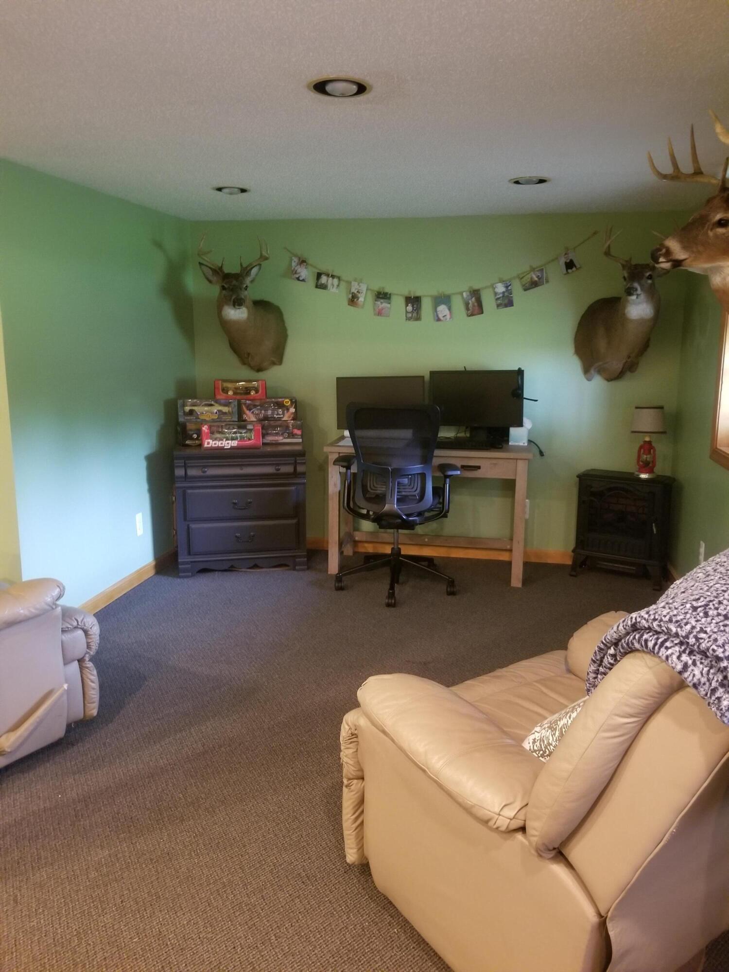 3226 Sayles Road Ionia, MI 48846 - Photo 31 of 36 20220619_191413