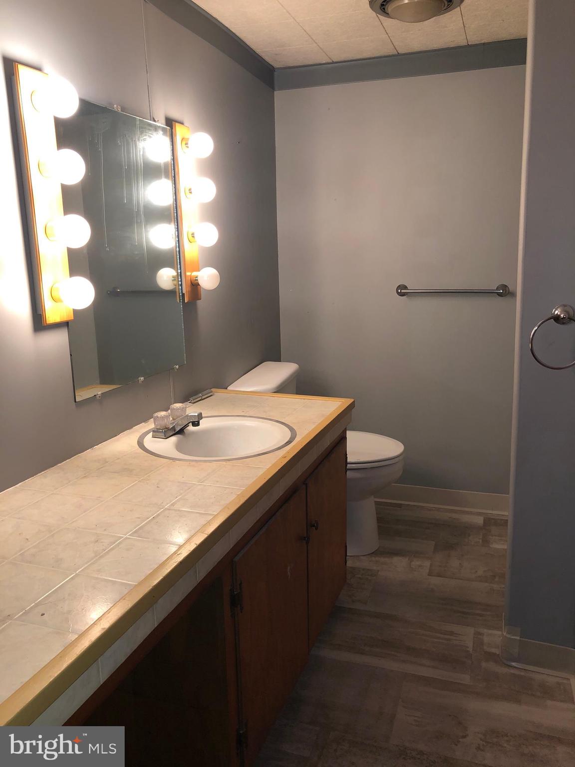290 Horseshoe Trail Road Denver, PA 17517 - Photo 3 of 15 Hall Bath