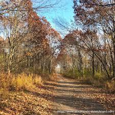 56 North Victoria Lane, Unit C Streamwood, IL 60107 - Photo 22 of 25