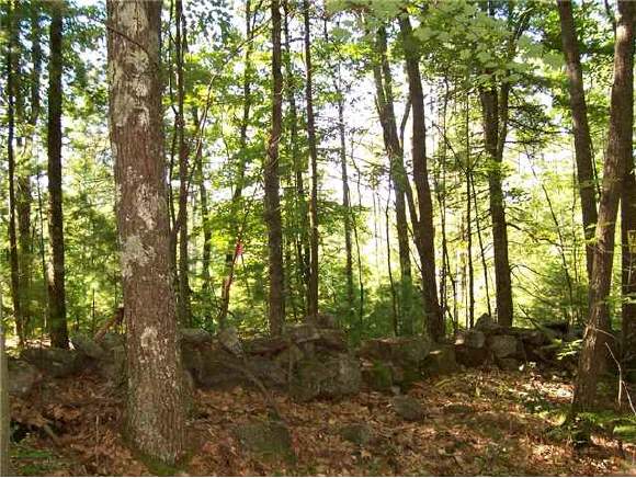 21 Ledge Road Northfield, NH 03276 - Photo 1 of 1